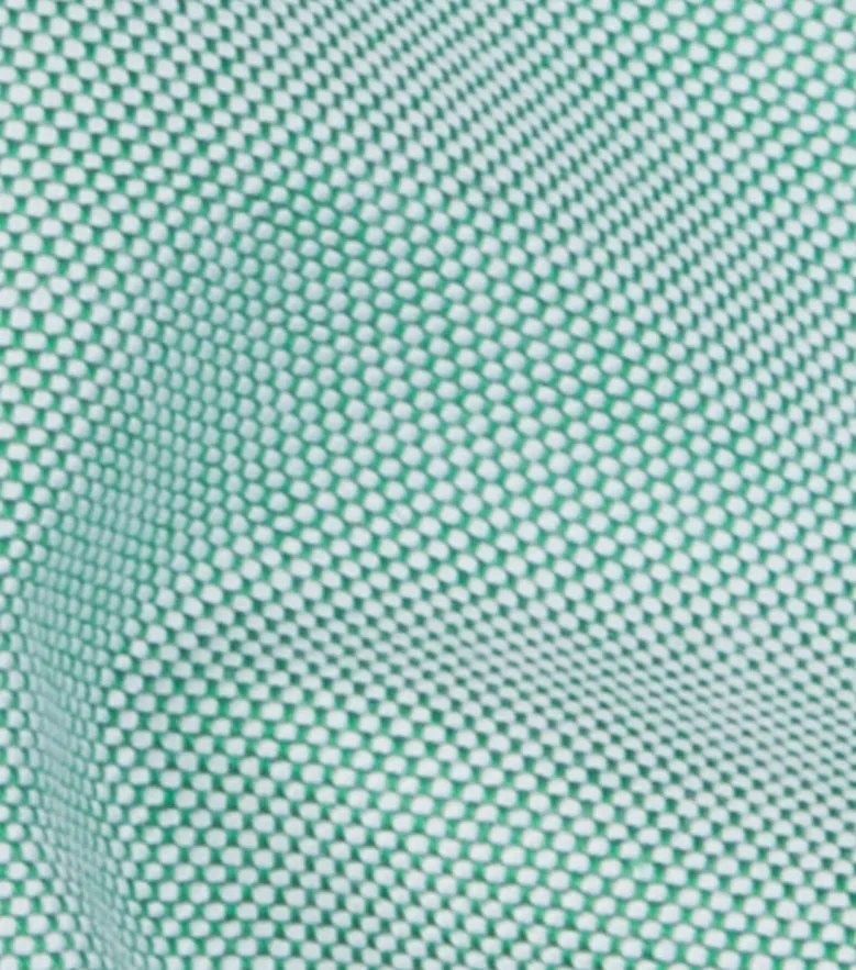 Chemise en Oxford américain épais uni vert